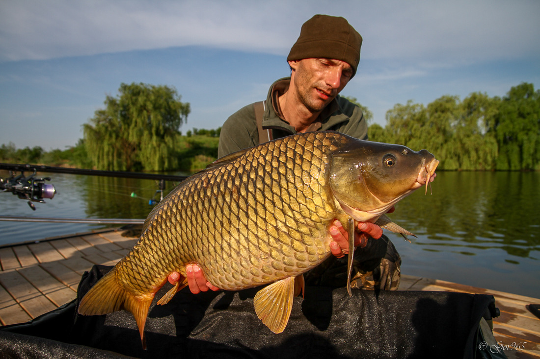 2015 - Hermes Peris Cupa Pescarilor